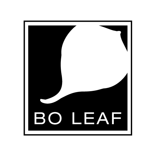 bo-logo_SQ